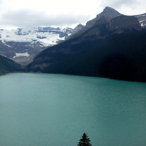 Ahhh... the view out of room at Lake Louise/
		    