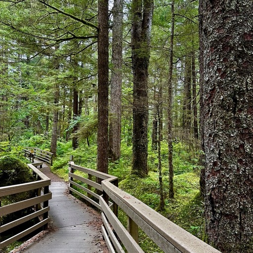 Forest Trail, Glacier Bay National Park & Preserve/
		    
