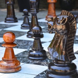 Chess anyone?/
		    
