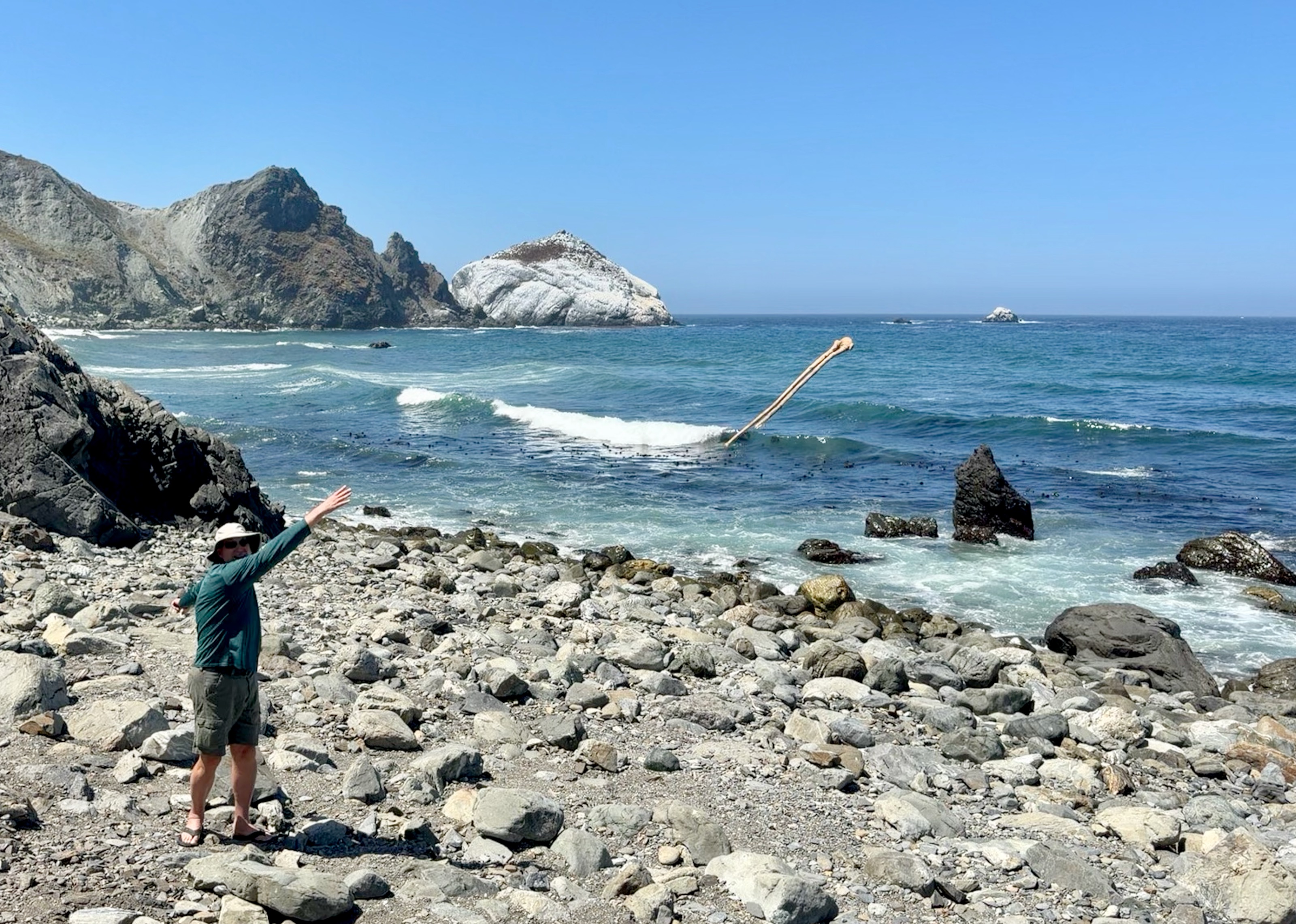 Obligatory stick-throwing shot/74644 Cabrillo Hwy, Big Sur, CA 93920, USA