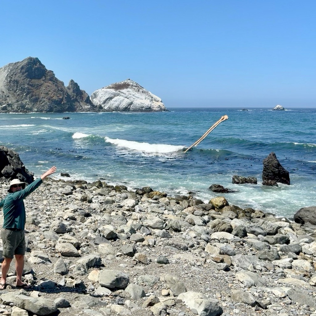 Obligatory stick-throwing shot/
		    74644 Cabrillo Hwy, Big Sur, CA 93920, USA