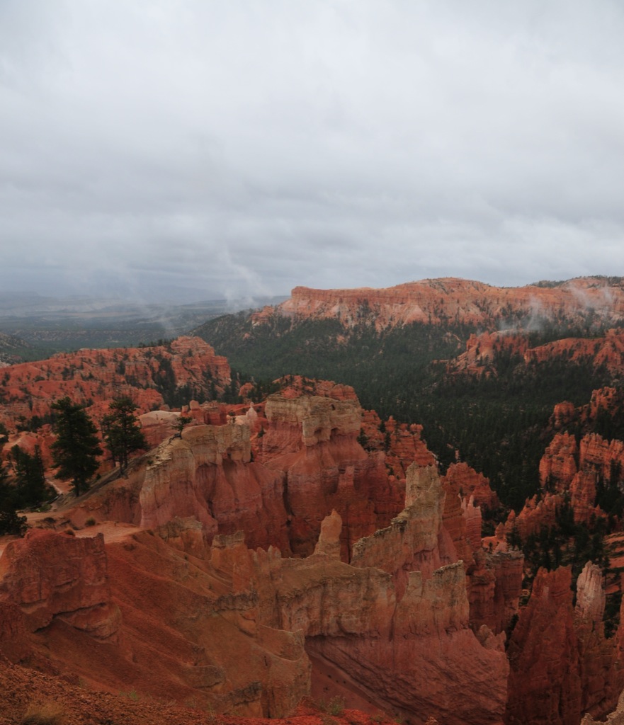 ... Like a painting/