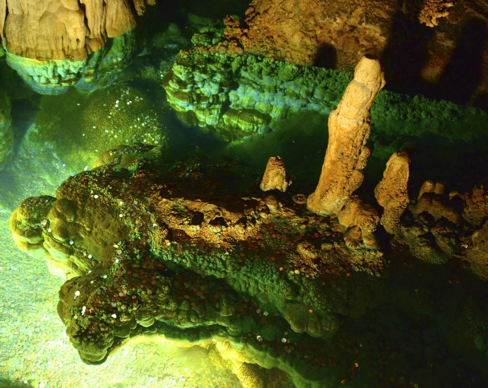 Copper leeched out of the pennies/