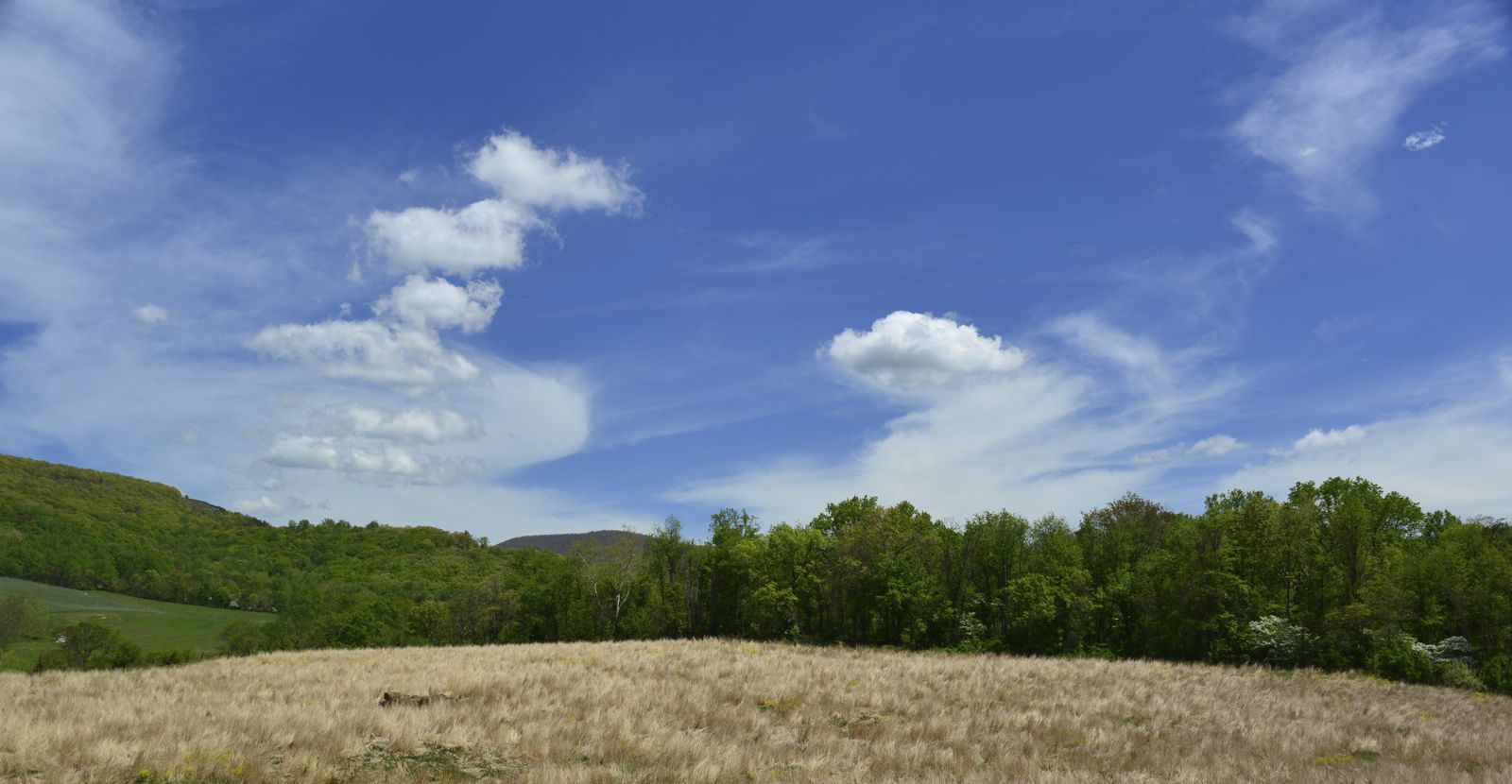 The wine country...pretty!/