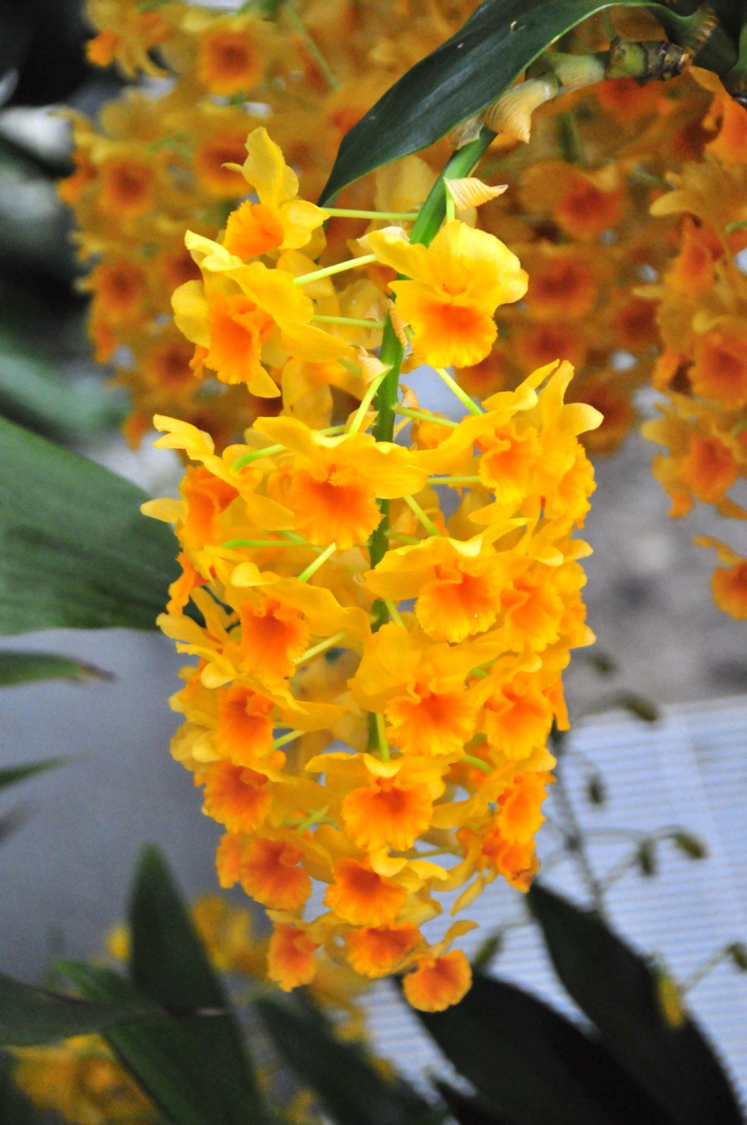 What's a trip without a visit to the Botanical Gardens?/