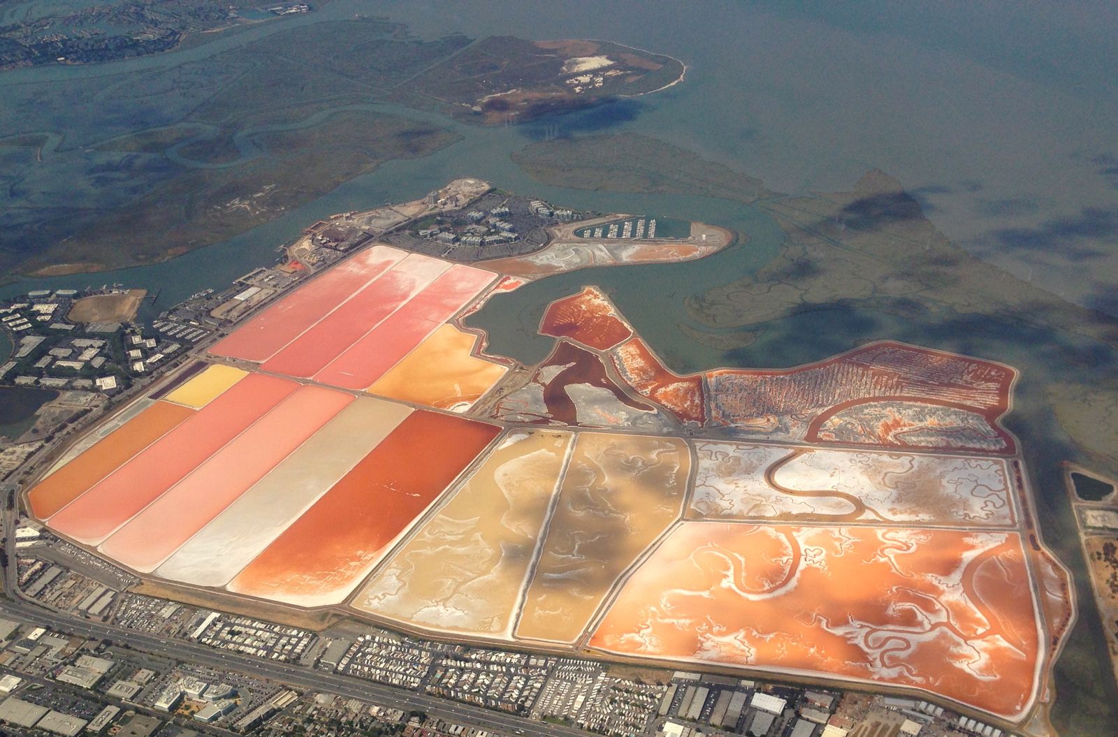 Back home: Menlo Park salt pans have gone mad!/