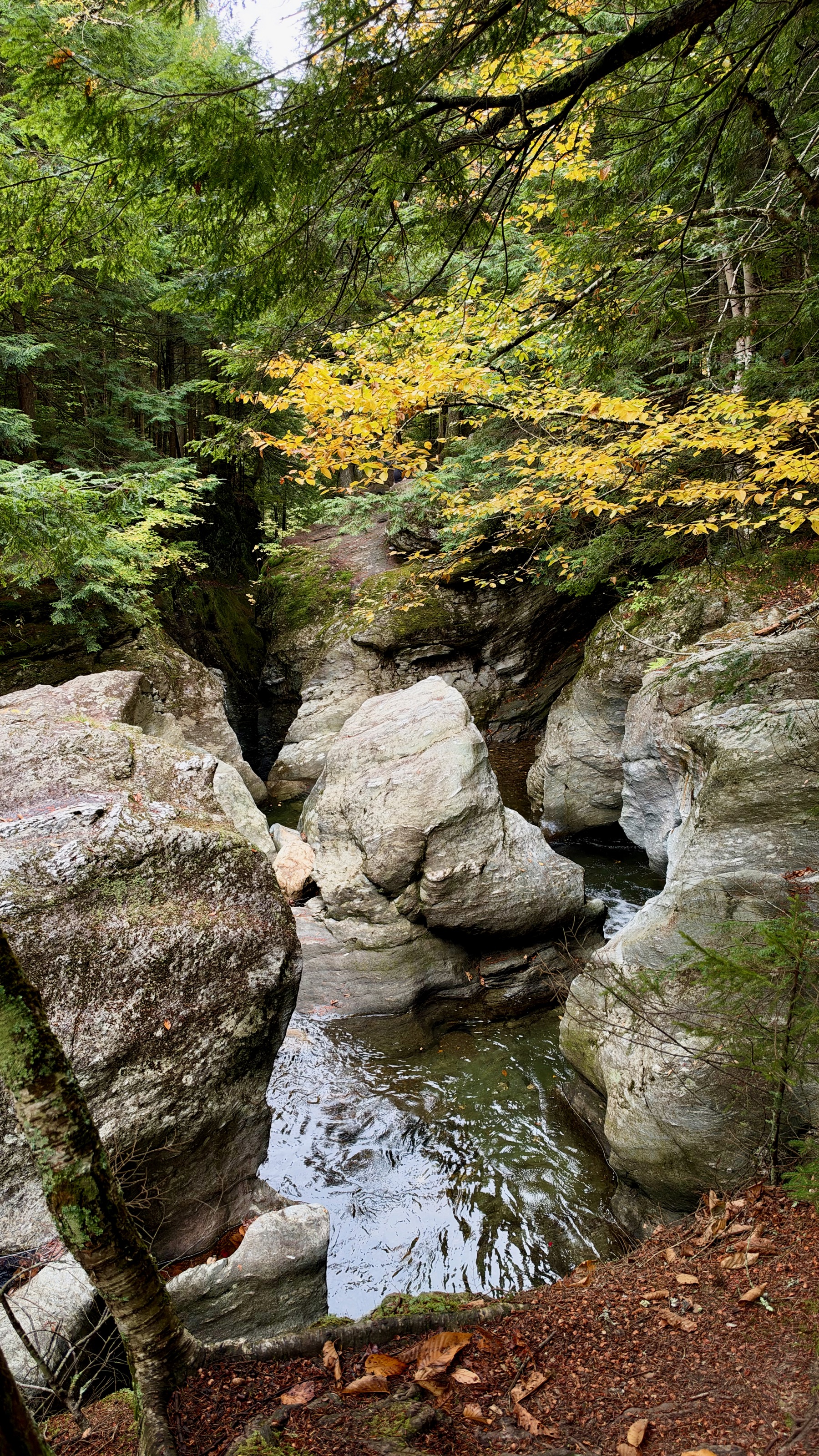 Bingham Falls, Stowe VT/1972 Notchbrook Rd, Stowe, VT 05672, USA