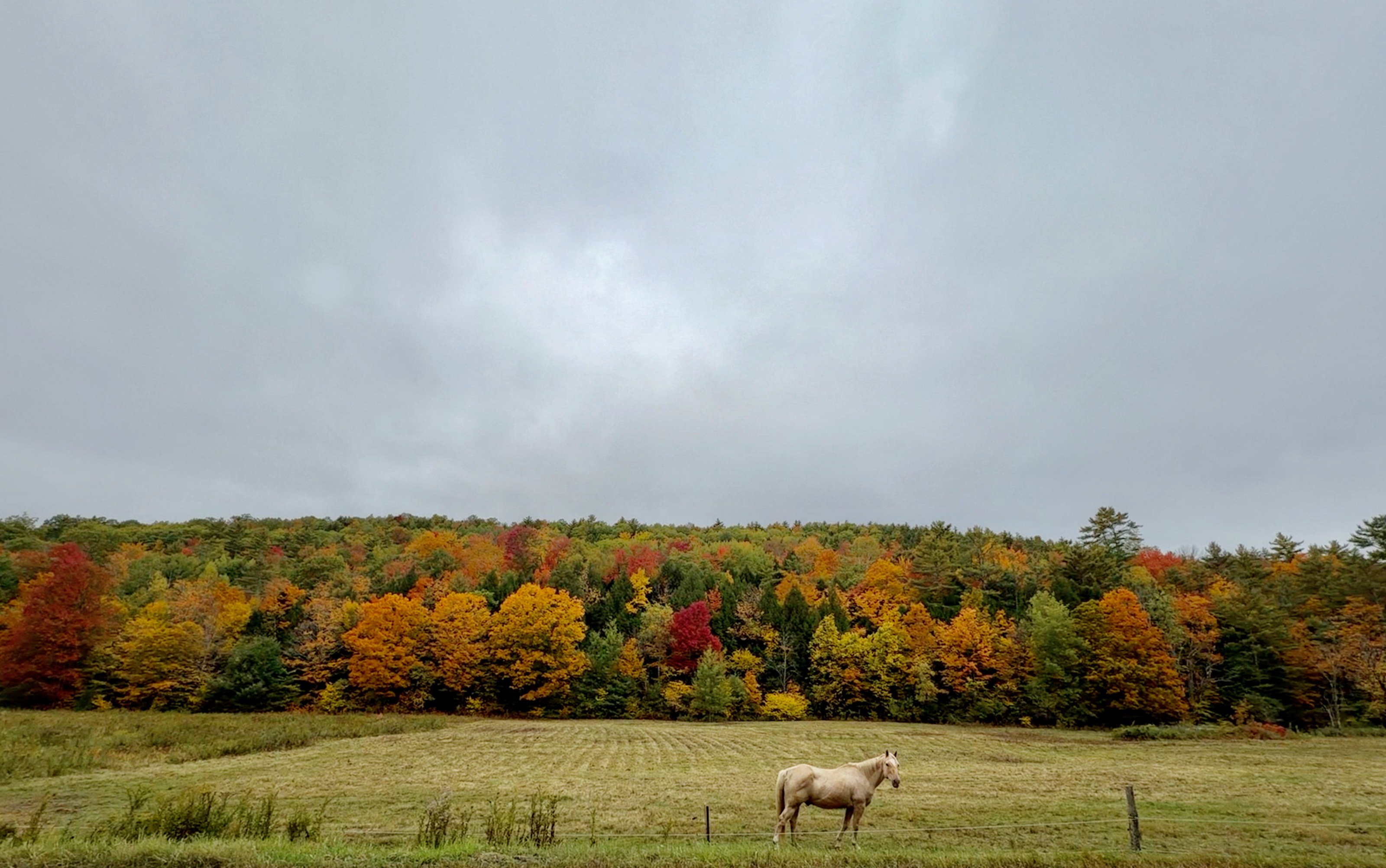 503 Route 25c, Piermont, NH 03779, USA