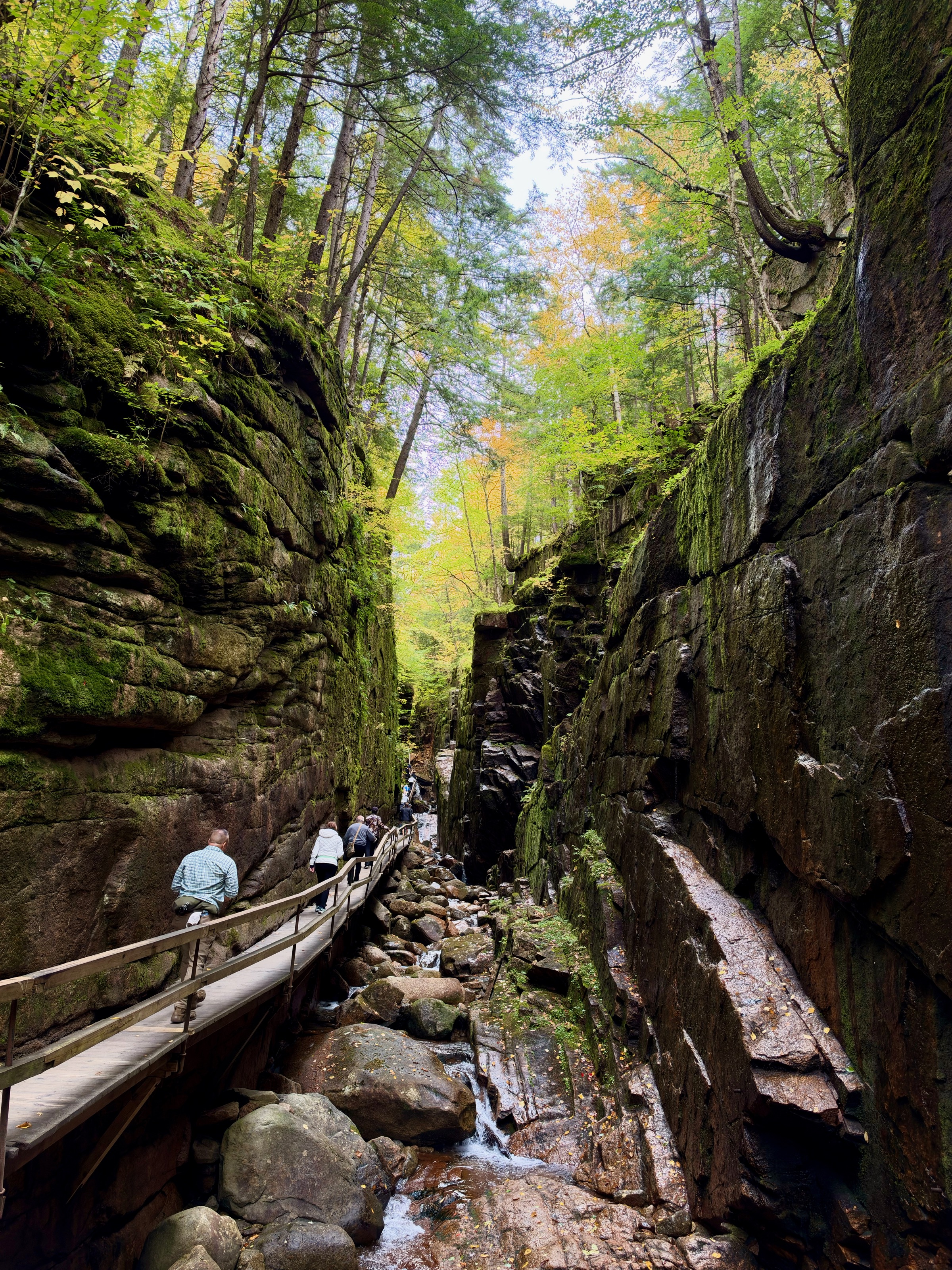 Franconia Notch State Park/Avalanche Falls, Flume Gorge Visitor Center, 852 Daniel Webster Hwy, Lincoln, NH 03251, USA