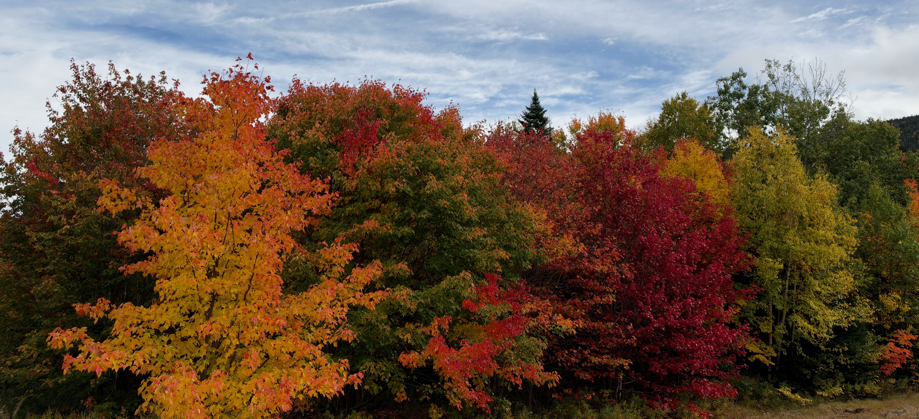 Kancamagus Hwy, NH/
