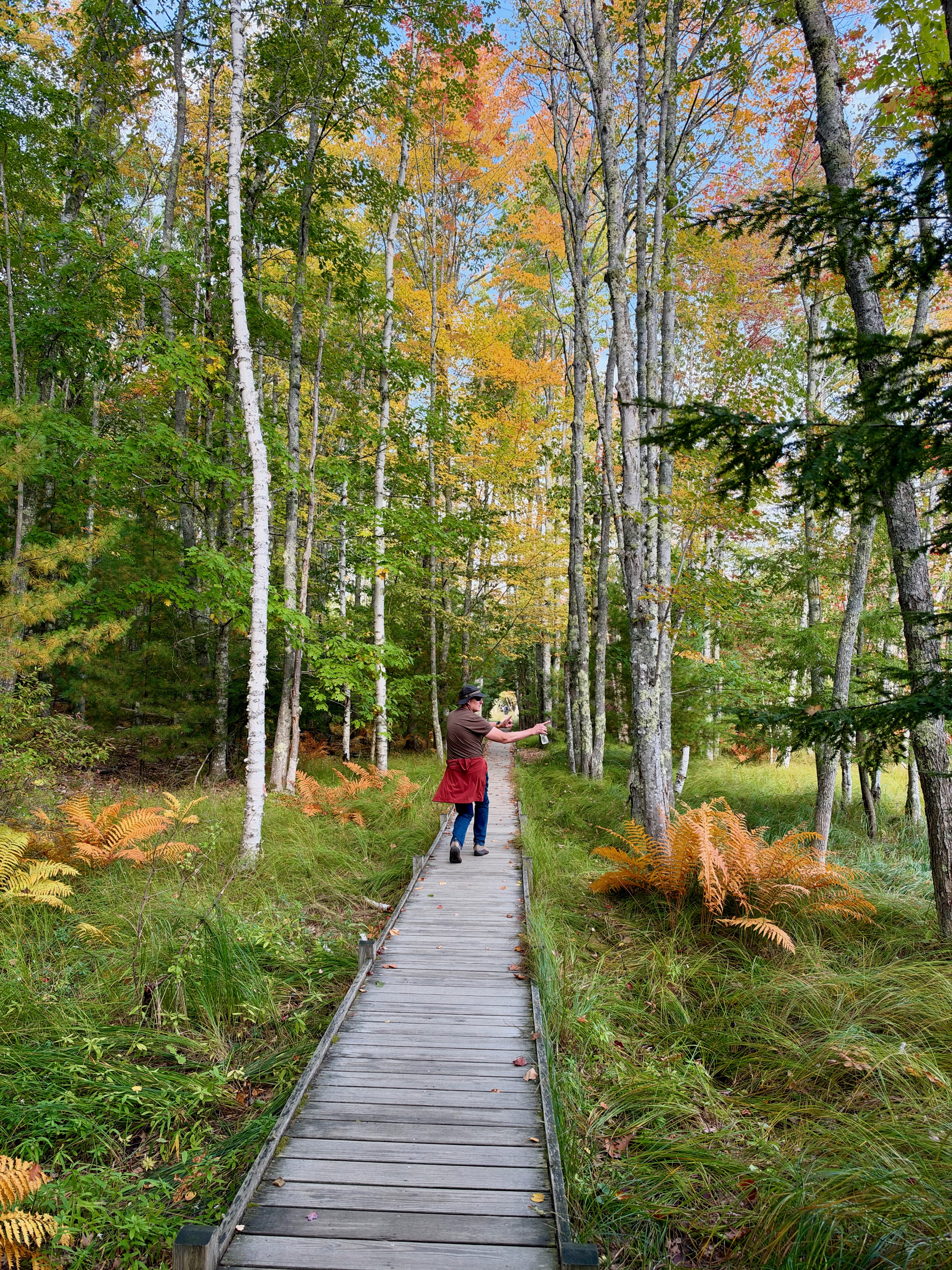 Jesup Path, Acadia NP/Sieur de Monts Nature Center, 2 Sieur de Monts Rd, Bar Harbor, ME 04609, USA