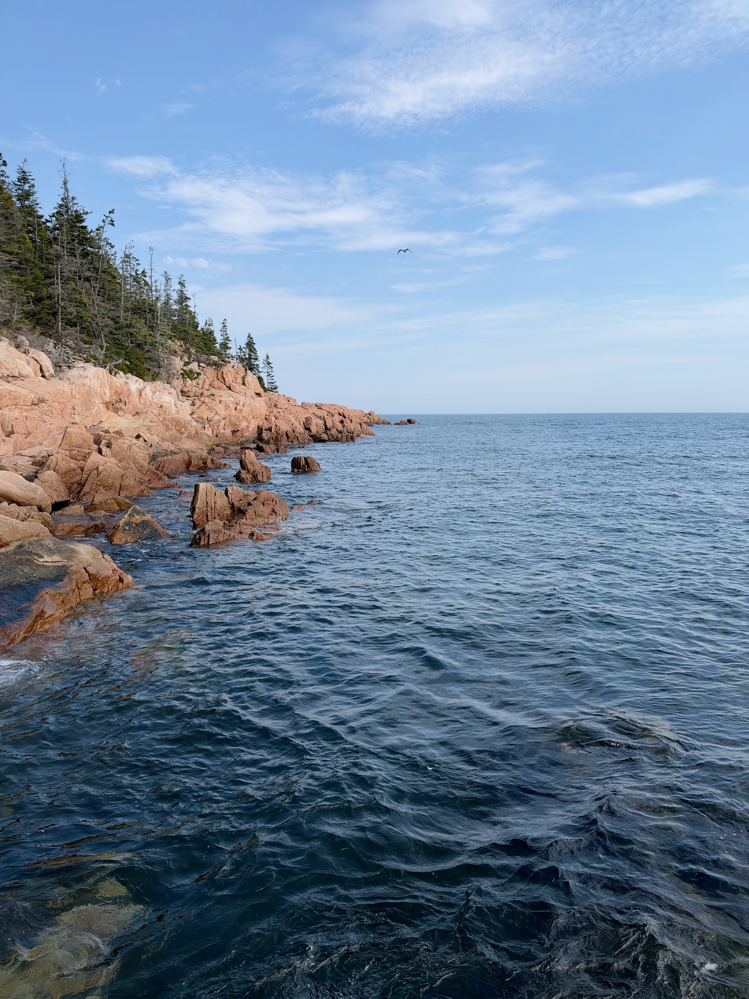 116 Lighthouse Rd, Bass Harbor, ME 04653, USA