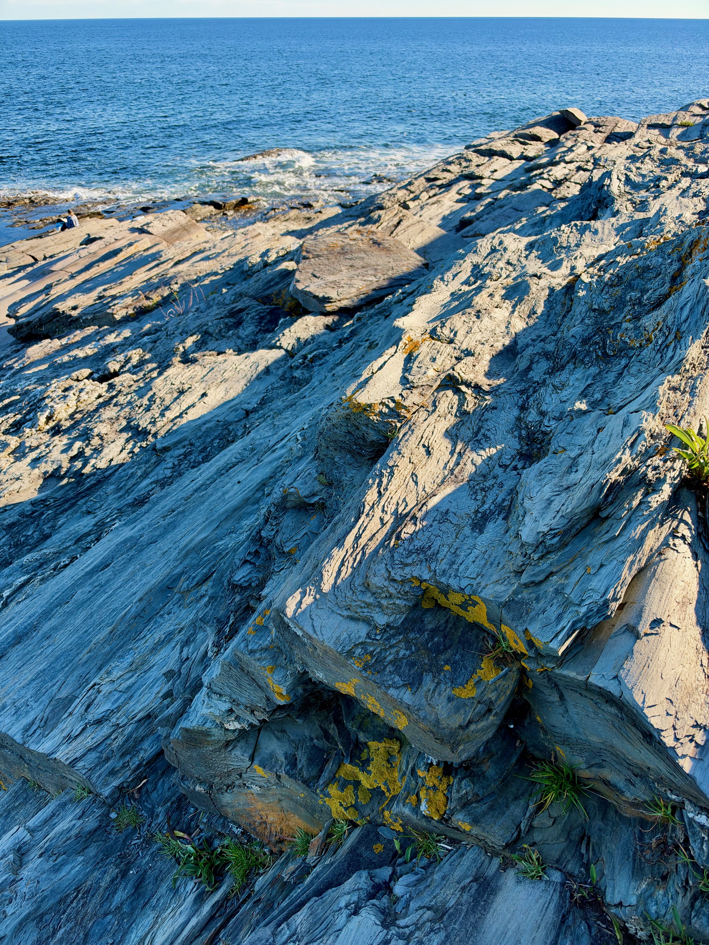 Weirdo rocks in Cape Elizabeth, ME/7 Tower Dr, Cape Elizabeth, ME 04107, USA