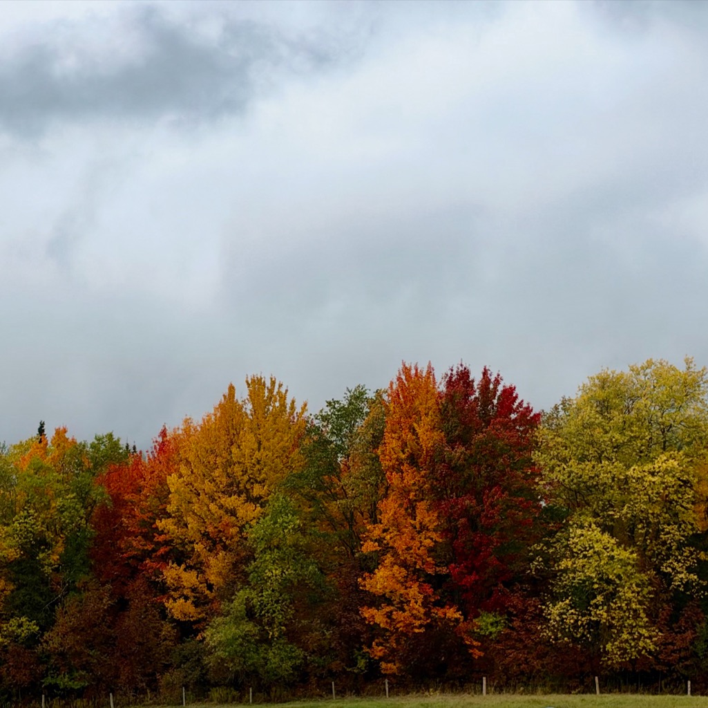 Vermont Rte 100/
		    2534 VT-58, Lowell, VT 05847, USA