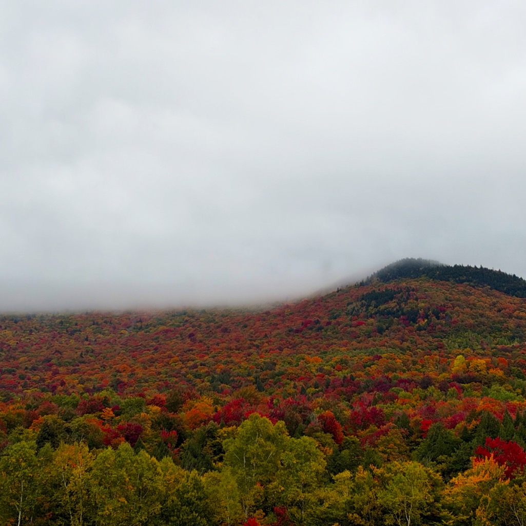 Just off some random road/
		    5880 Mountain Rd, Stowe, VT 05672, USA