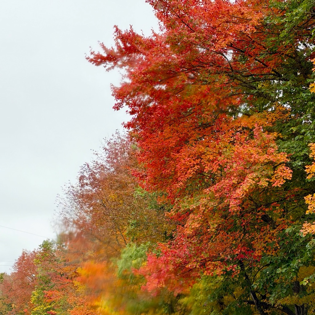 
		    637 Barnes Hill Rd, Waterbury Center, VT 05677, USA