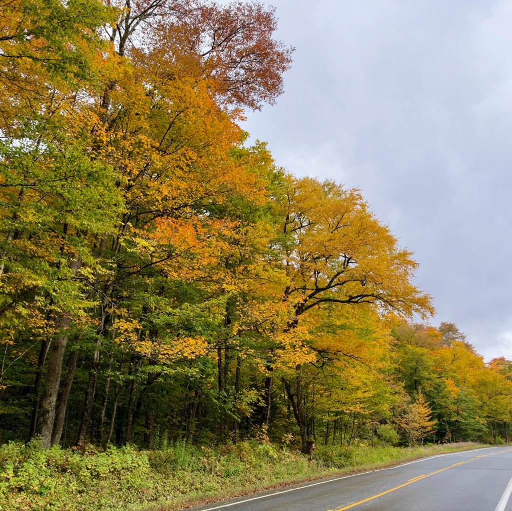 Kancamagus Highway, NH/
		    9871 Vermont Rte 100, Granville, VT 05747, USA