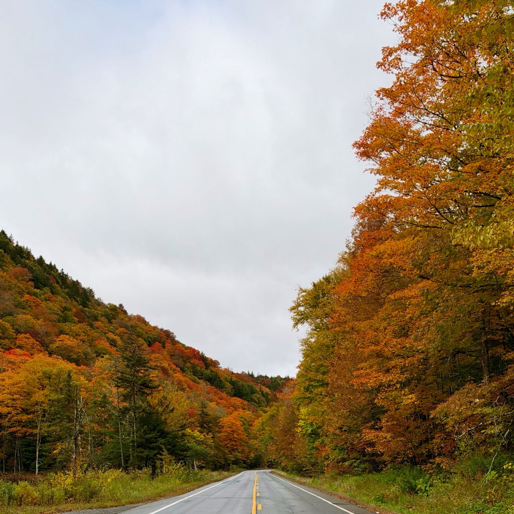 Kancamagus Highway, NH/
		    9872 Vermont Rte 100, Granville, VT 05747, USA