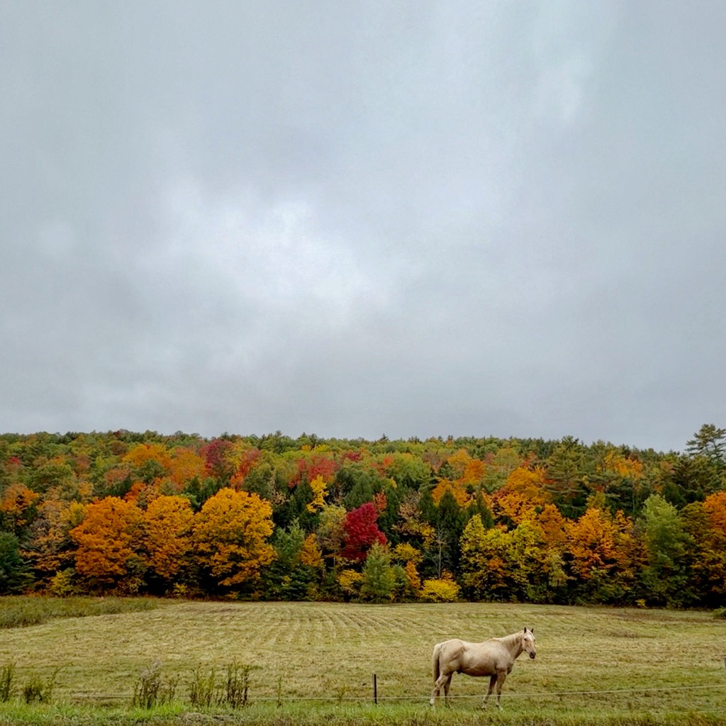 
		    503 Route 25c, Piermont, NH 03779, USA