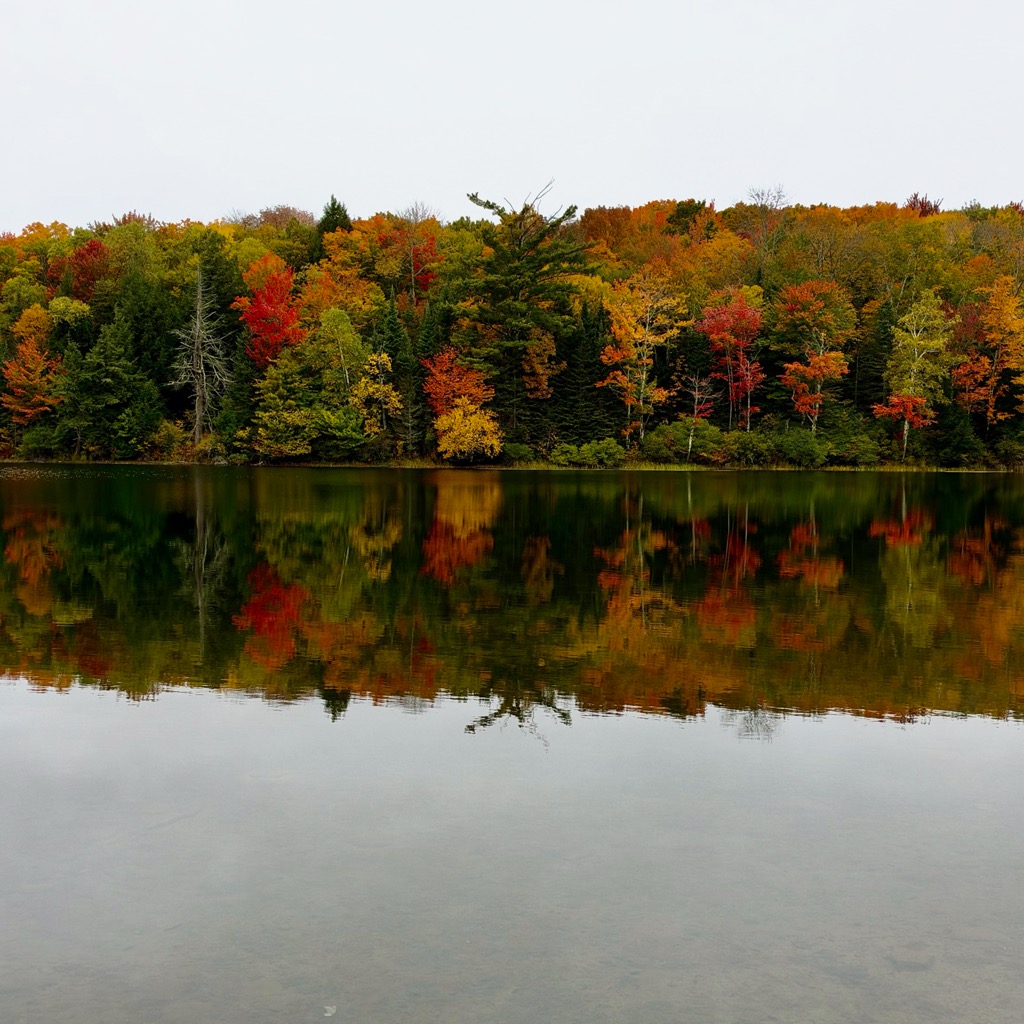 
		    844 Lake Tarleton Rd, Piermont, NH 03779, USA