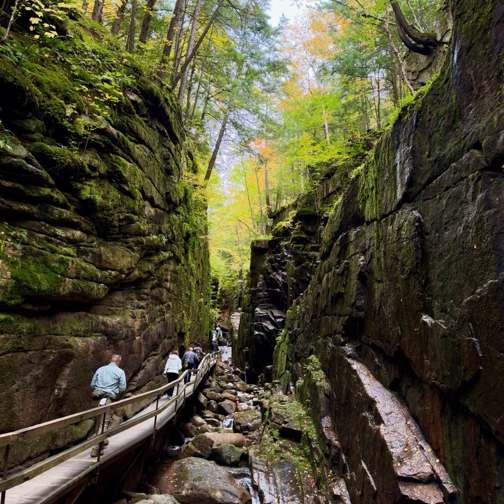 Franconia Notch State Park/
		    Avalanche Falls, Flume Gorge Visitor Center, 852 Daniel Webster Hwy, Lincoln, NH 03251, USA