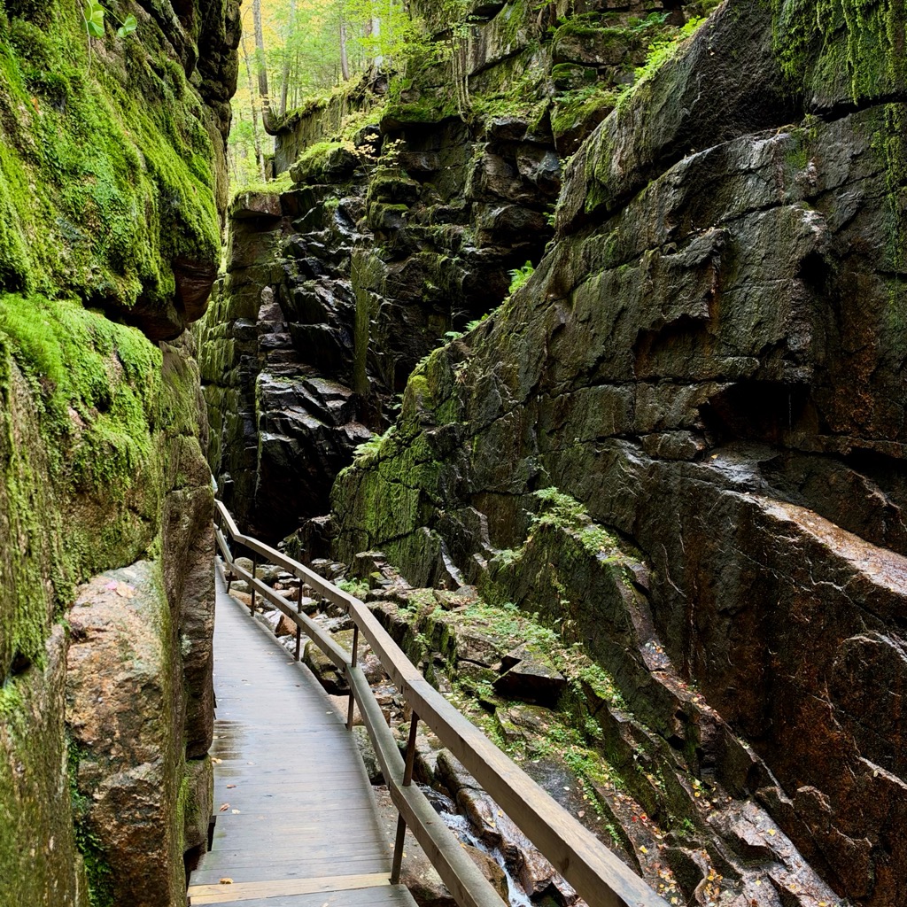 
		    Avalanche Falls, Flume Gorge Visitor Center, 852 Daniel Webster Hwy, Lincoln, NH 03251, USA