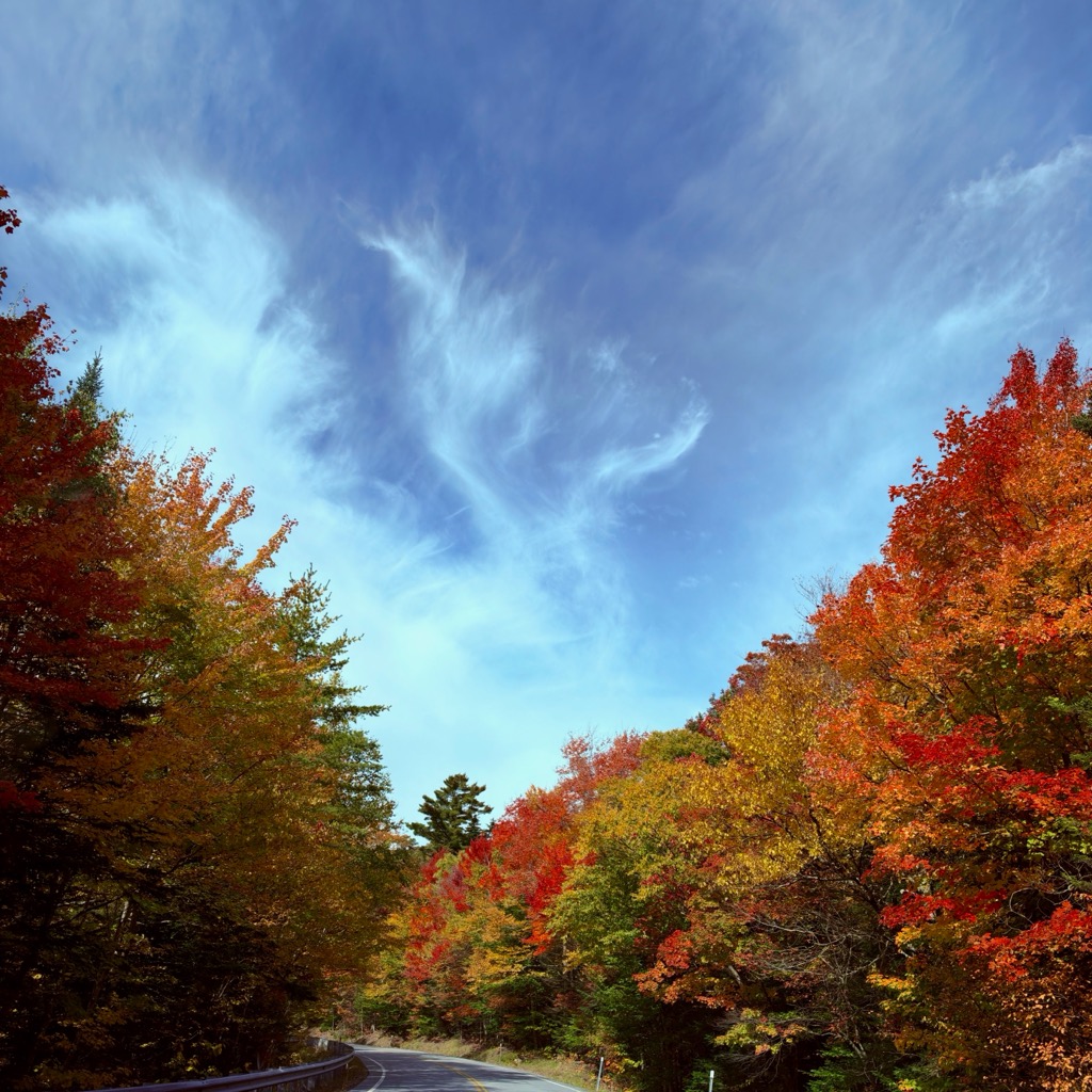 Kancamagus Hwy, NH/
		    