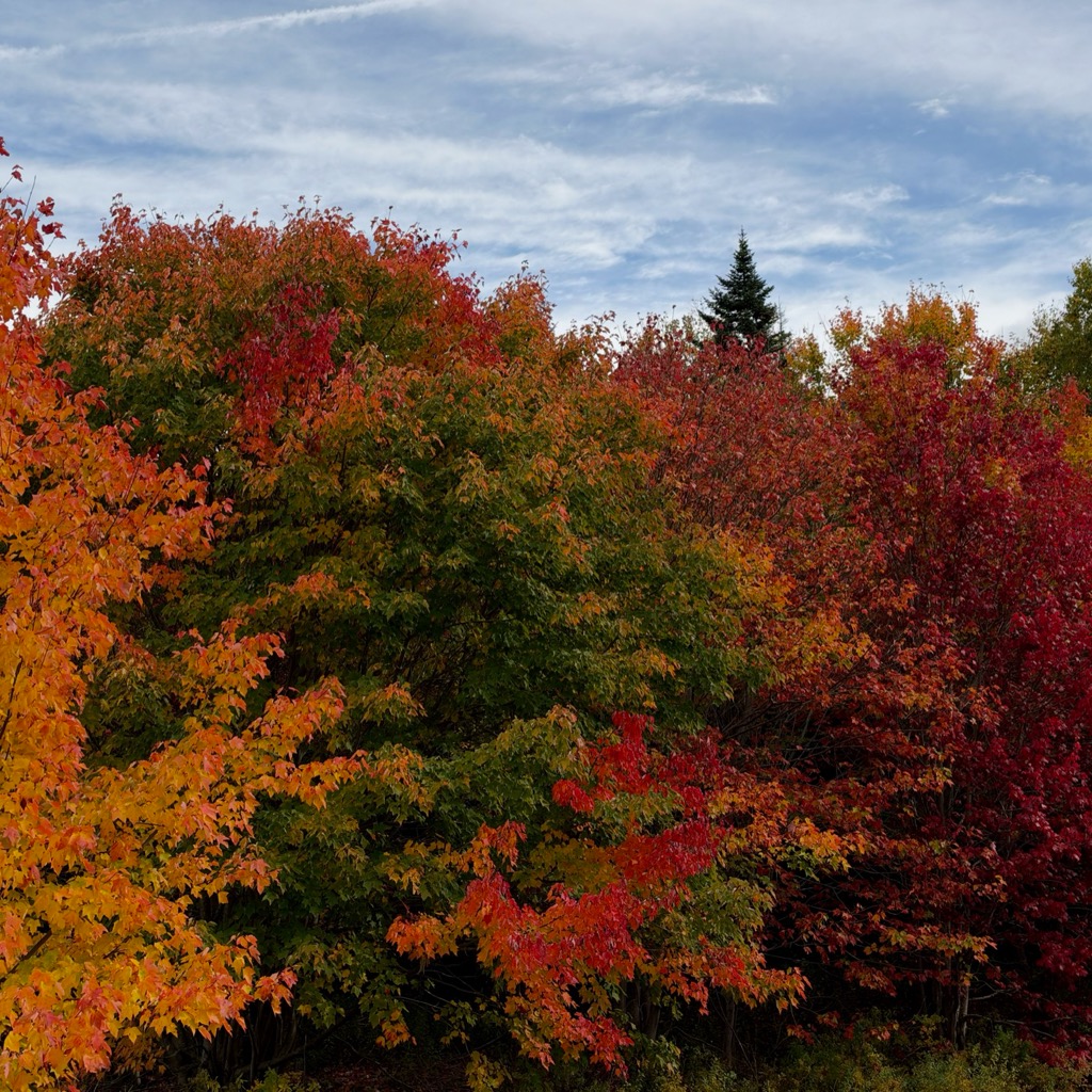 Kancamagus Hwy, NH/
		    