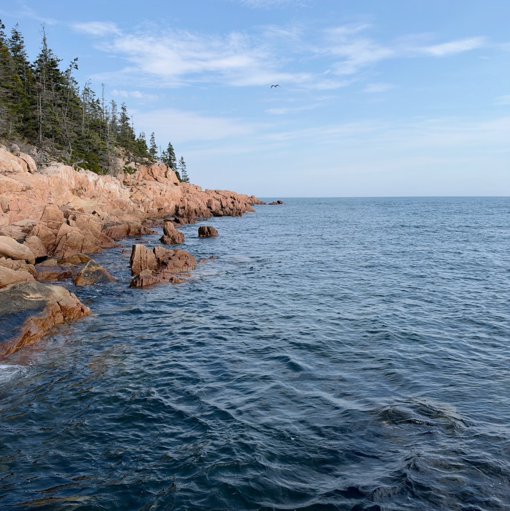 
		    116 Lighthouse Rd, Bass Harbor, ME 04653, USA