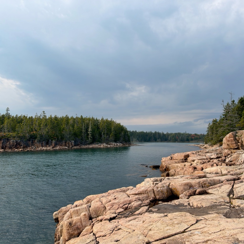 Ship Harbor Trail, Acadia NP/
		    