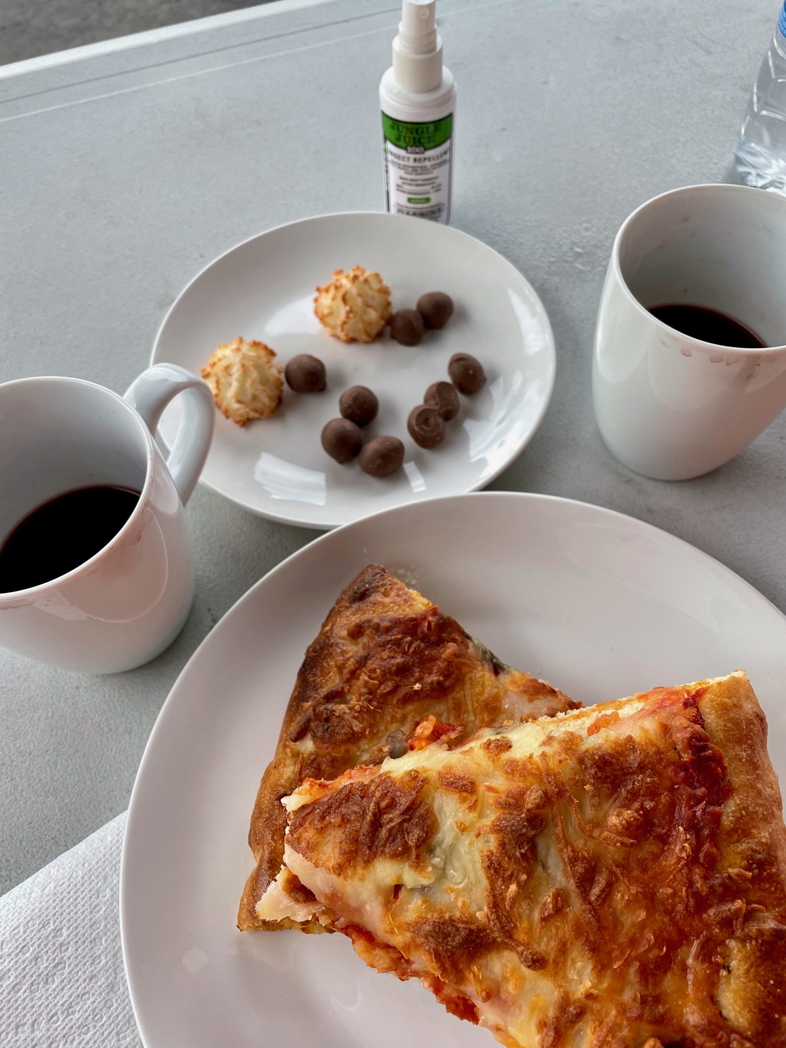 Fancy dinner on the side of the road: pizza, crappy wine in mugs, coconut macaroons and bug repellant/