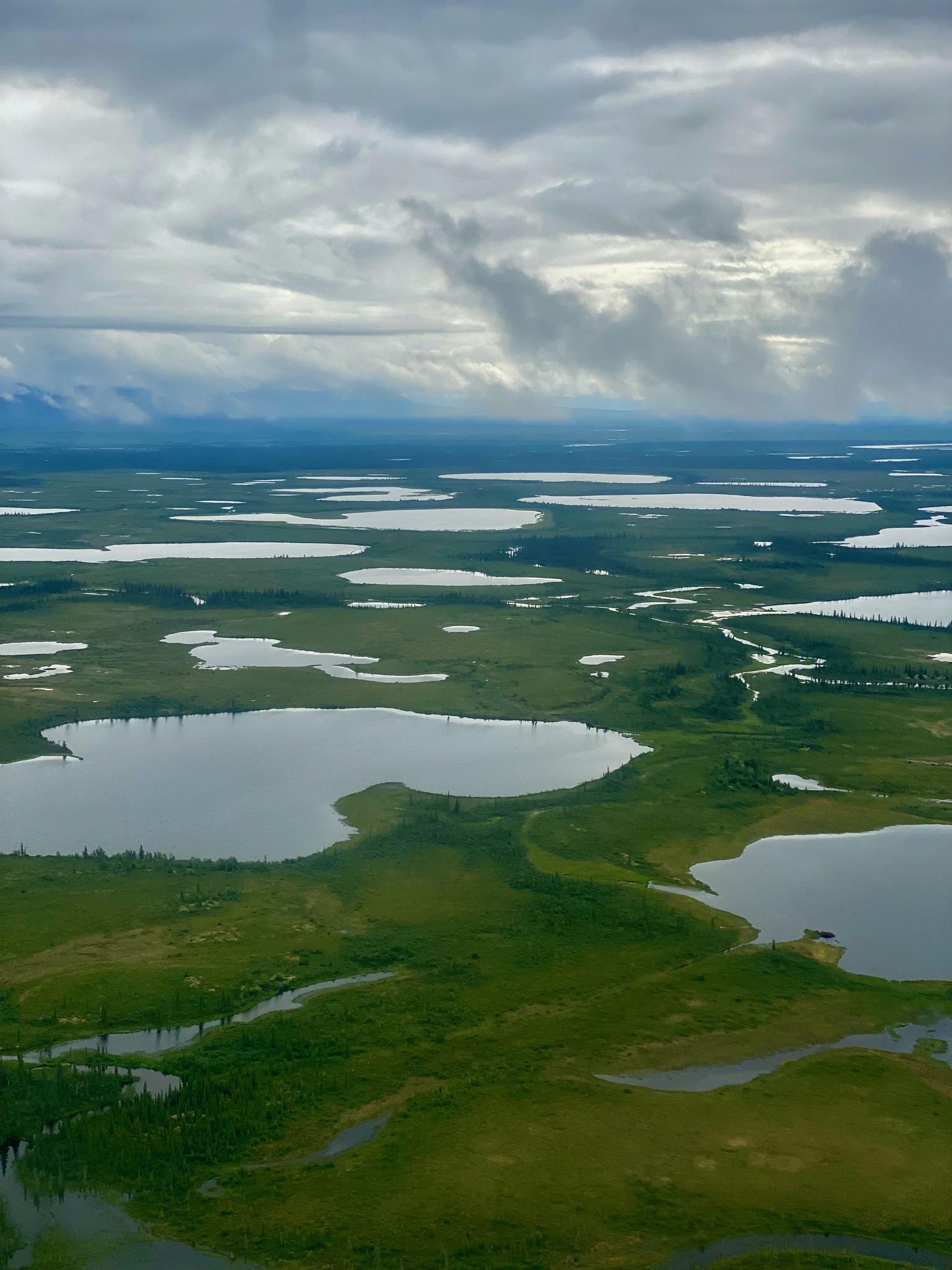 So. Much. Water! Send some down to California!/