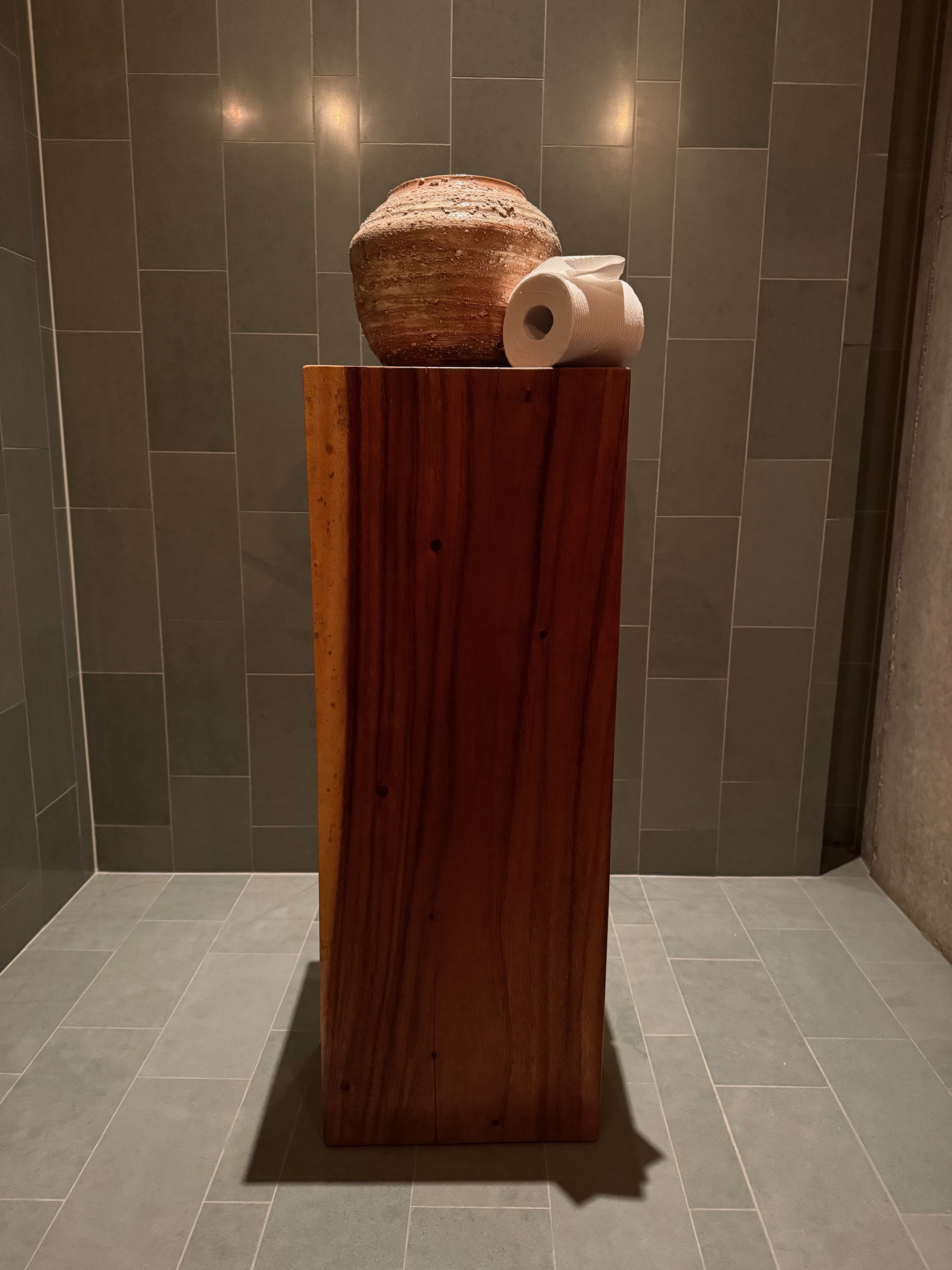 Artwork in our water closet... sure!/Amangiri - Canyon Point, Utah, USA