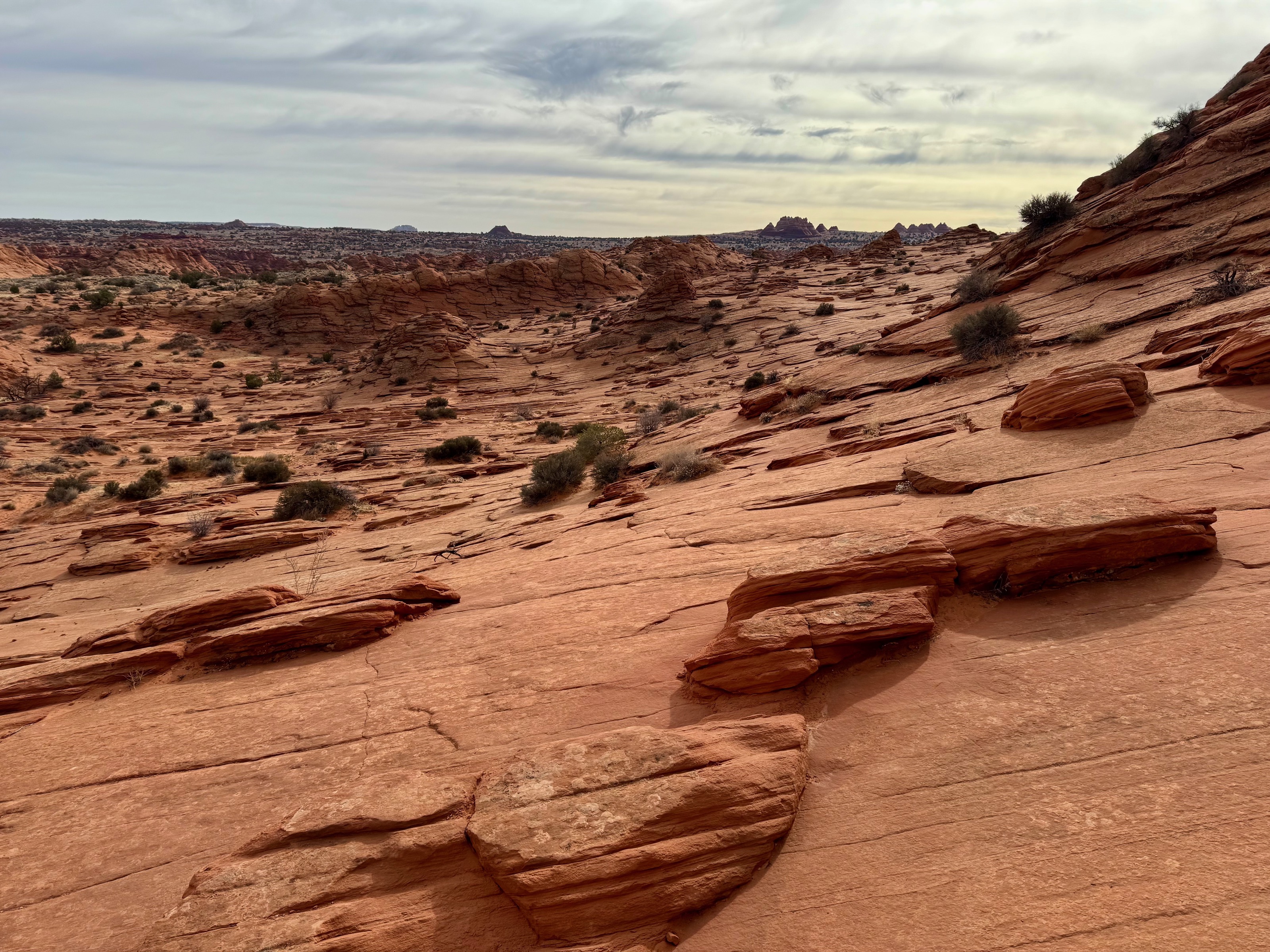 The trail... do you see it?/