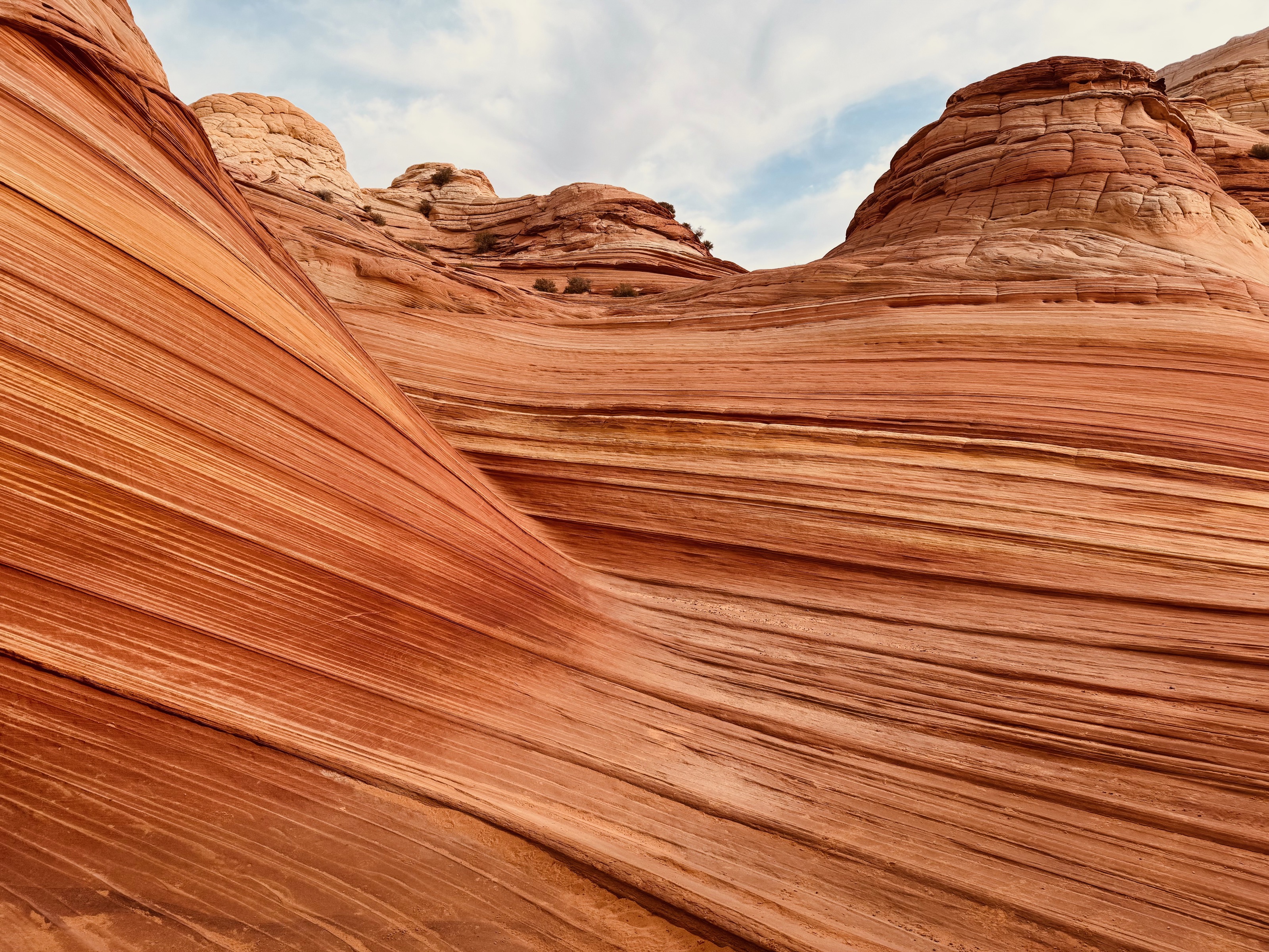 Vermilion Cliffs National Monument, AZ/