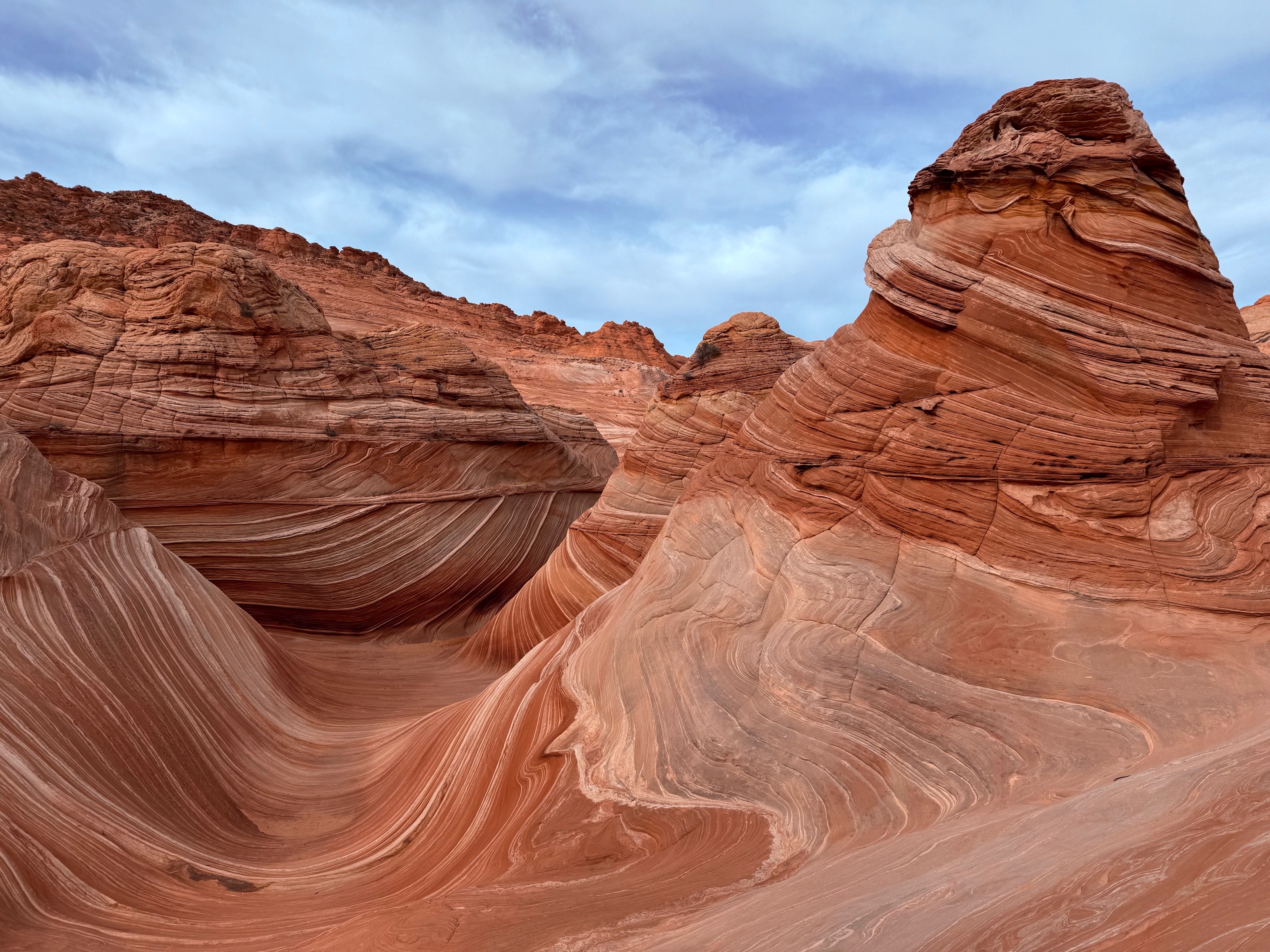 Vermilion Cliffs National Monument, AZ/