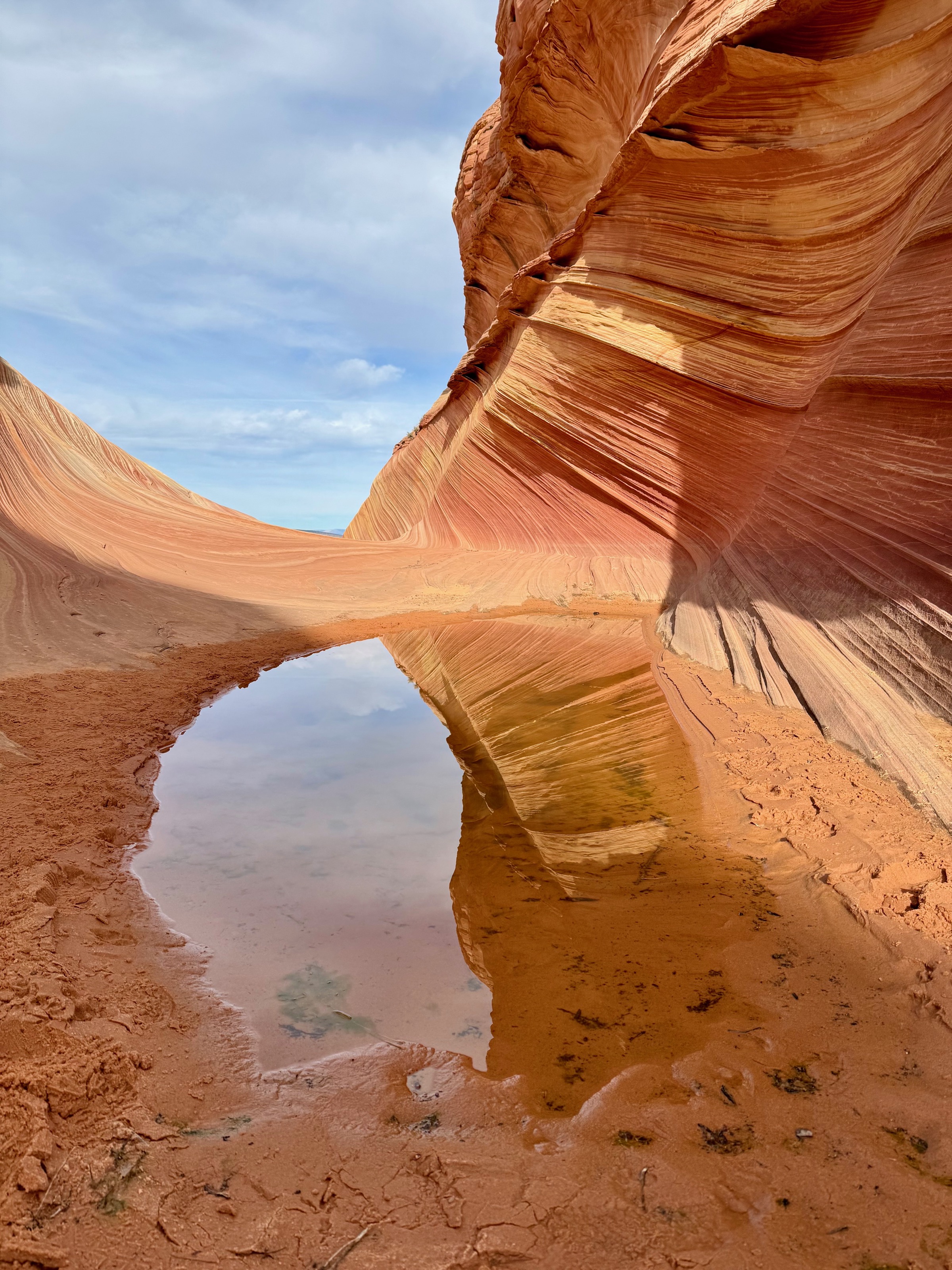 Vermilion Cliffs National Monument, AZ/