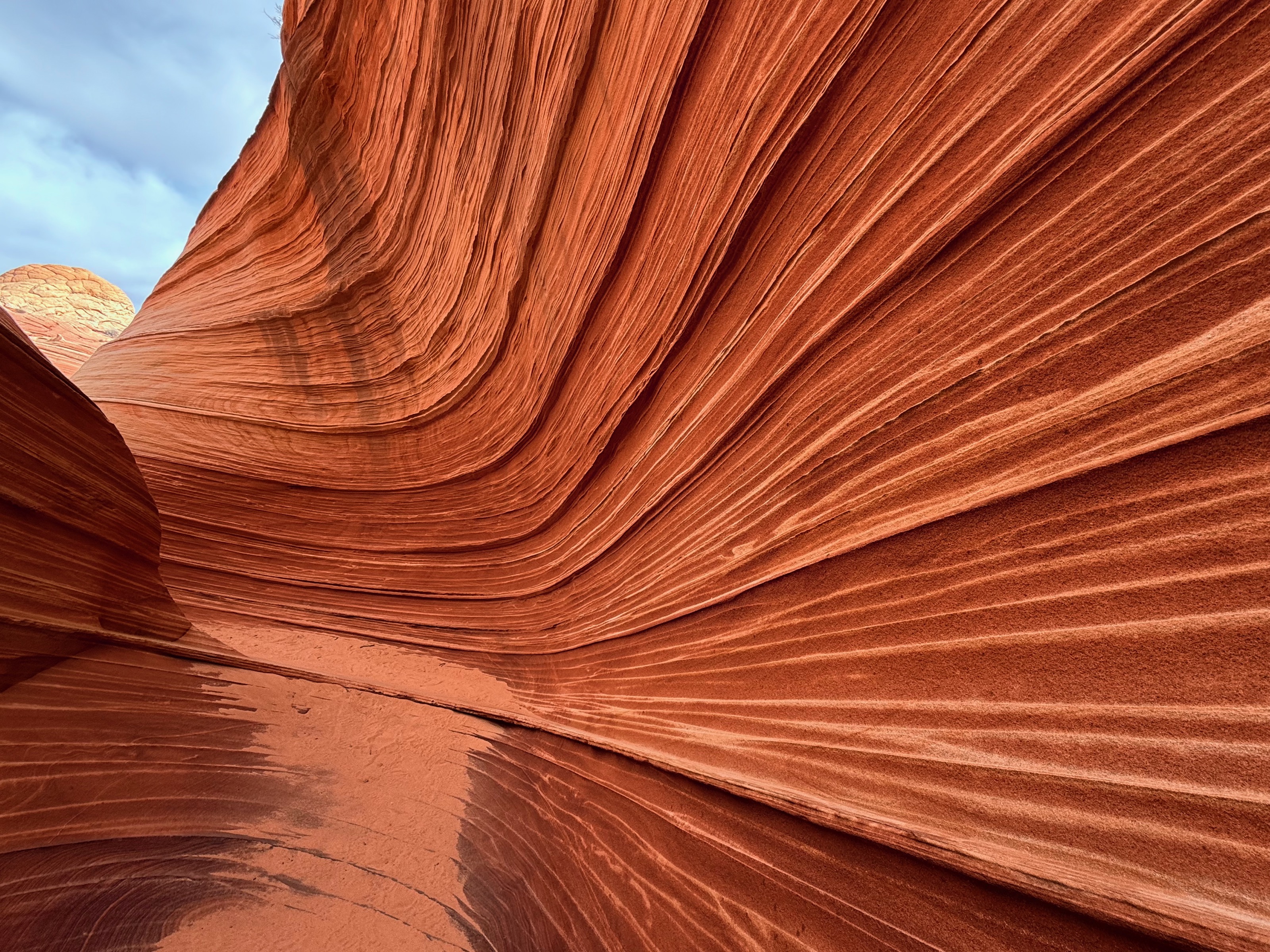 Vermilion Cliffs National Monument, AZ/