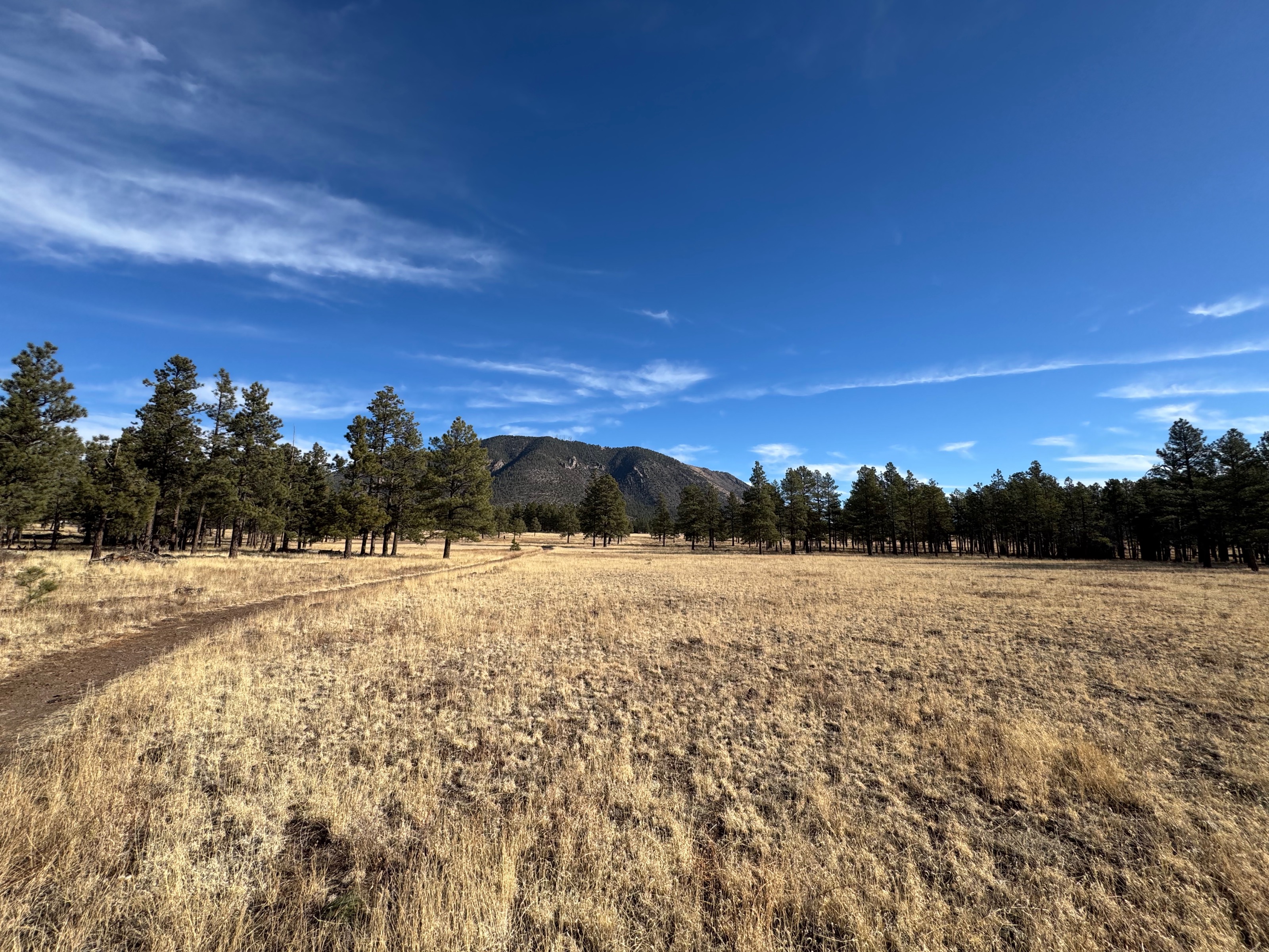 Buffalo Park -  Flagstaff, AZ/