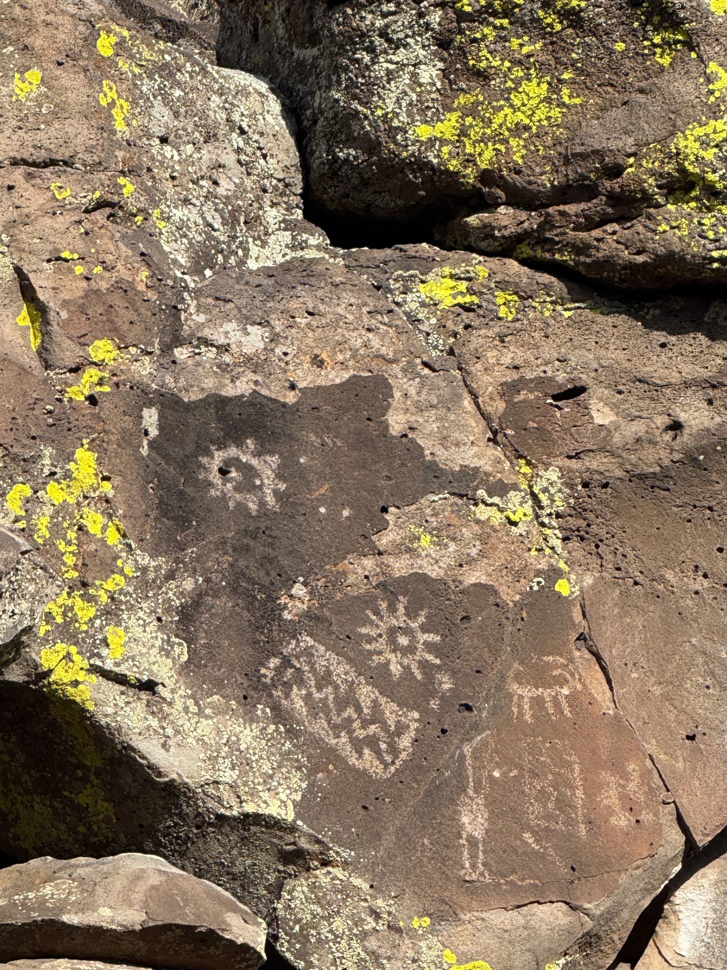 Petroglyphs in Coconino National Forest/6900 N Rain Valley Rd, Flagstaff, AZ 86004, USA