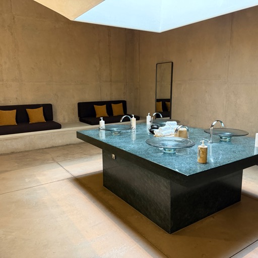 Ridiculously posh ladies bathroom/
		    Amangiri - Canyon Point, Utah, USA