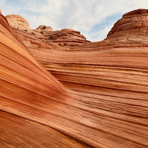 Vermilion Cliffs National Monument, AZ/
		    