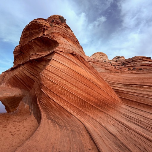 Vermilion Cliffs National Monument, AZ/
		    