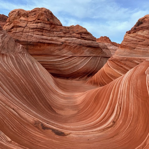 Vermilion Cliffs National Monument, AZ/
		    