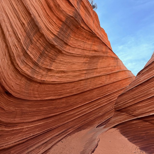 Vermilion Cliffs National Monument, AZ/
		    