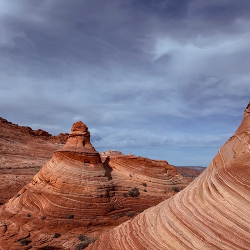 Vermilion Cliffs National Monument, AZ/
		    