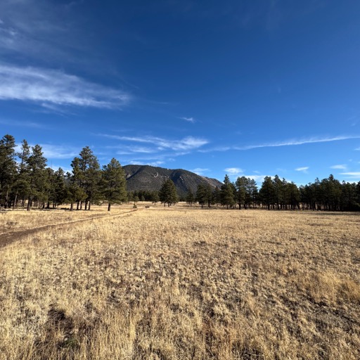 Buffalo Park -  Flagstaff, AZ/
		    