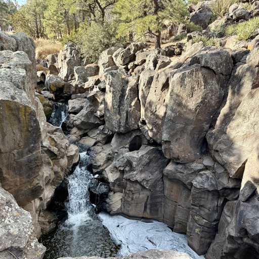 Rio de Flag - Flagstaff, AZ/
		    Picture Canyon Natural and Cultural Preserve, 3920 N El Paso Flagstaff Rd, Flagstaff, AZ 86004, USA