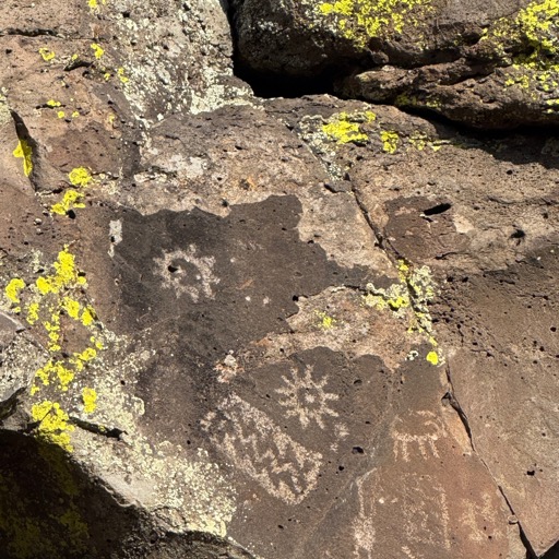 Petroglyphs in Coconino National Forest/
		    6900 N Rain Valley Rd, Flagstaff, AZ 86004, USA