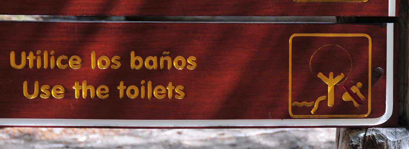 No pooping by trees!/